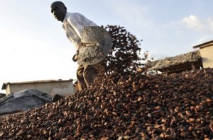 Les défis du financement agricole : l&rsquo;exemple de l&rsquo;Agricultural Development Bank au Ghana
