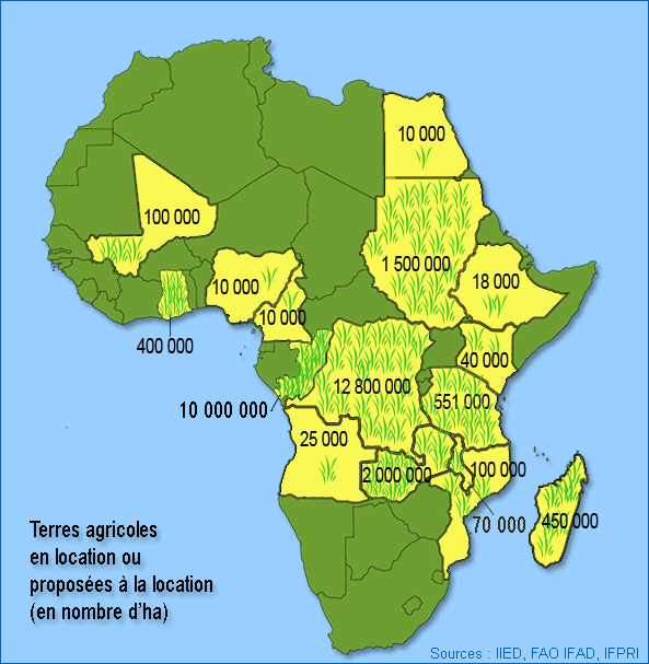 vente des terres agricoles en Afrique