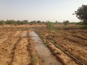 Tele-Irrigation-02