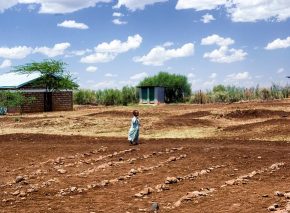 A New Approach to Land Tenure Security in Africa?