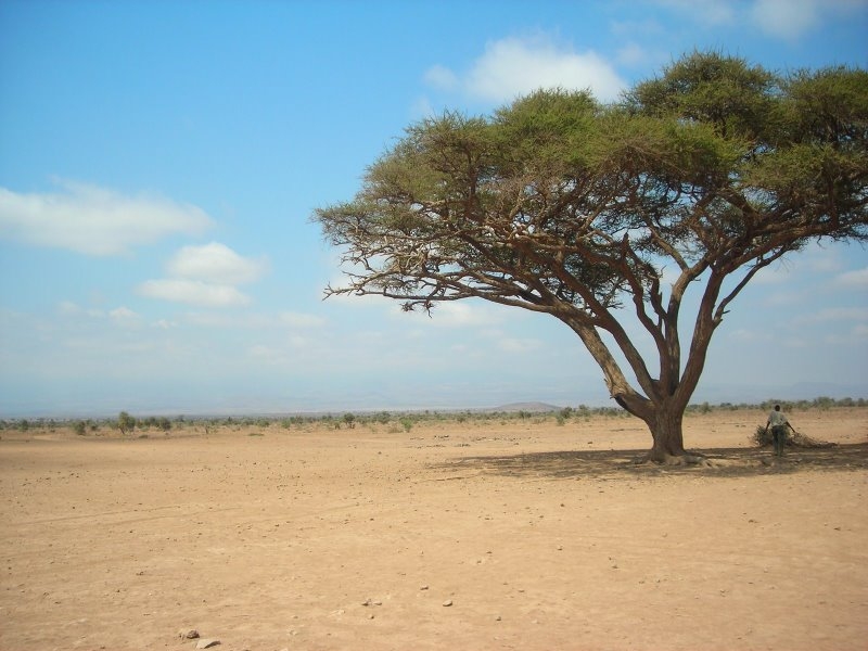 L&rsquo;Afrique face aux grands défis environnementaux